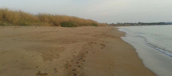 Land in Elis, Greece No. 874 4