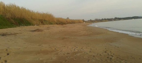 Land in Elis, Greece No. 874 6