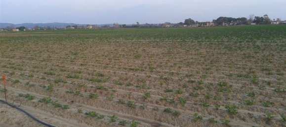 Land in Elis, Greece No. 874 12