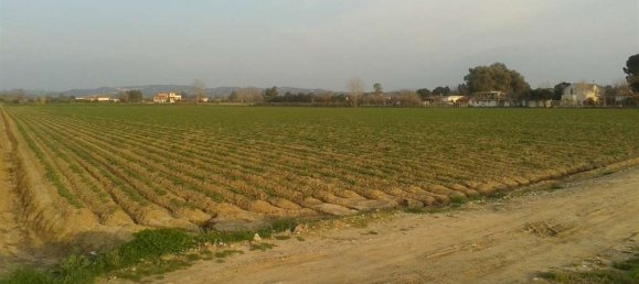 Land in Elis, Greece No. 874 8