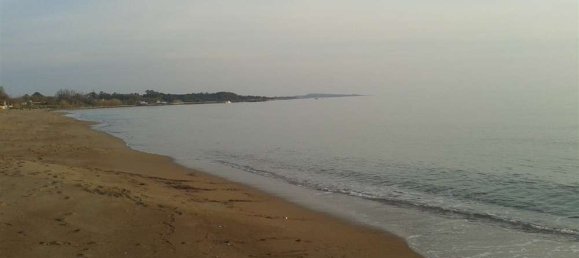 Land in Elis, Greece No. 874 16