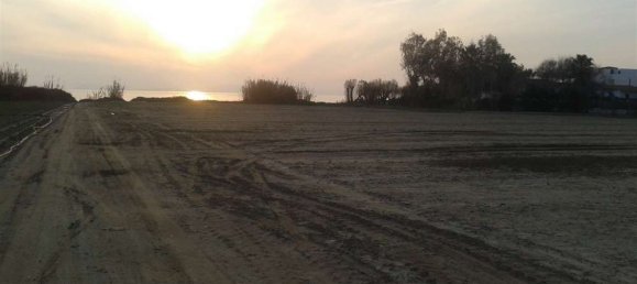 Land in Elis, Greece No. 874 5