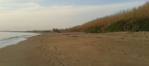 Land in Elis, Greece No. 874 11