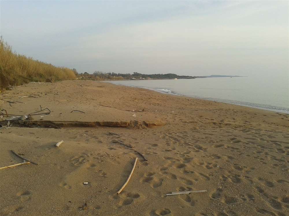  Land in Elis, Greece No. 874