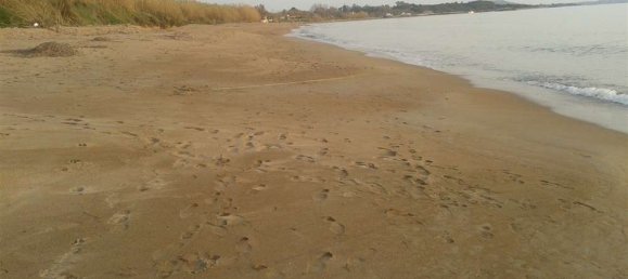 Land in Elis, Greece No. 874 14