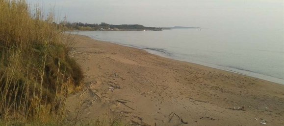 Land in Elis, Greece No. 874 9