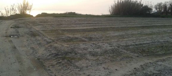 Land in Elis, Greece No. 874 7