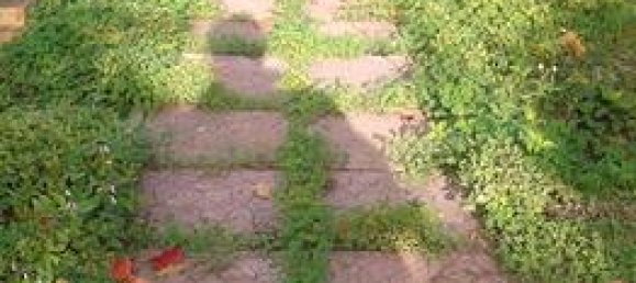 500m² Land in Pagliara, Italy No. 272111 3