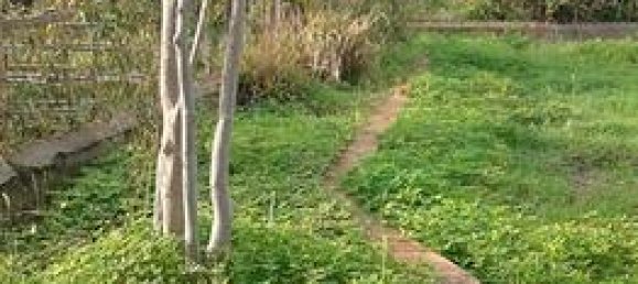 500m² Land in Pagliara, Italy No. 272111 4