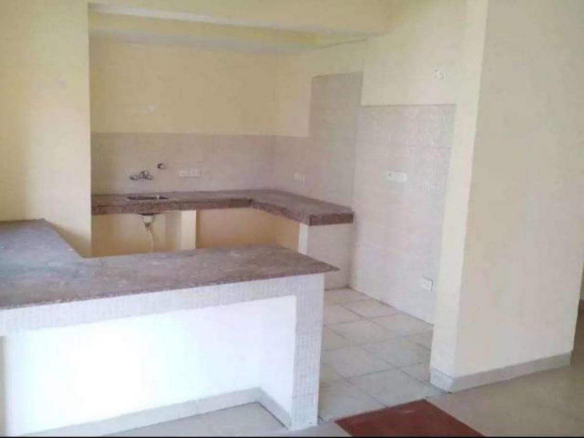 Estudio en Mohali, India No. 48270