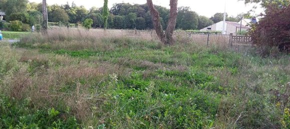 2 rooms House in Bazouges-la-Perouse, France No. 284922 3