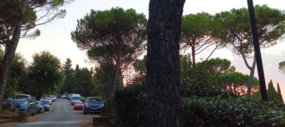 4غرفة بانتهاوس في Manciano, Italy رقم 257136 30