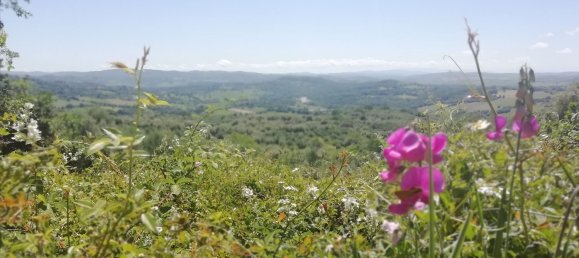 4غرفة بانتهاوس في Manciano, Italy رقم 257136 32