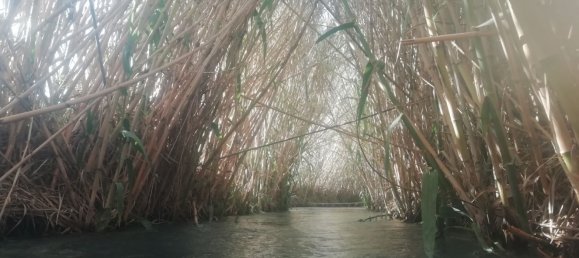 4غرفة بانتهاوس في Manciano, Italy رقم 257136 33