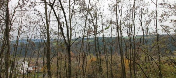  Land in Passau, Germany No. 181868 8