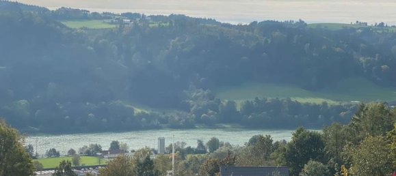  Land in Passau, Germany No. 181868 3