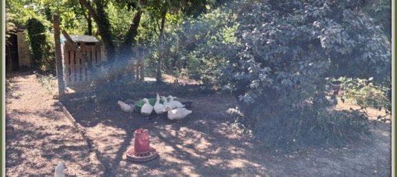 3 غرف نوم منزل في Sarthe, France رقم 322340 6