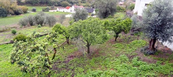 3 غرف نوم منزل في Abiul, Portugal رقم 24372 5