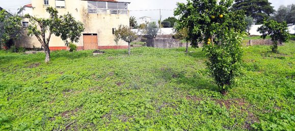 3 غرف نوم منزل في Abiul, Portugal رقم 24372 6