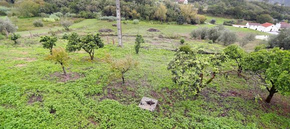 3 غرف نوم منزل في Abiul, Portugal رقم 24372 4