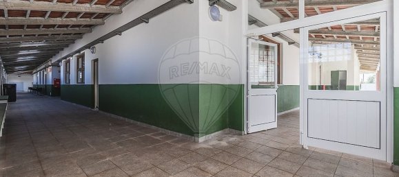 مستودع في Peniche, Portugal 1424متر مربع رقم 136119 21