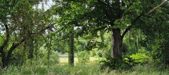 Дом с 3 спальнями в Кон-Кур-сюр-Луар, Франция № 271698 10