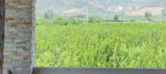 757m² Commercial property in Tursi, Italy No. 305304 12