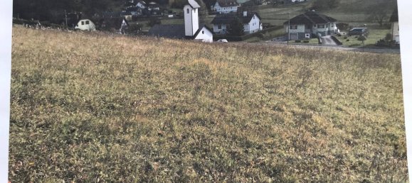 Terreno em Minihof-Liebau, Austria 7235 m² N.º 101692 7