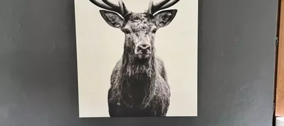 3 bedrooms House in Obersteinbach, France No. 351951 10