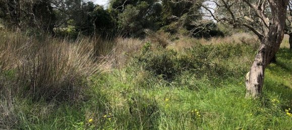 Grundstück in Alte, Portugal 1210m², Nr. 60014 6