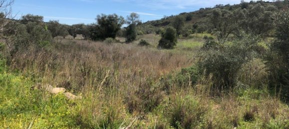 Grundstück in Alte, Portugal 1210m², Nr. 60014 2