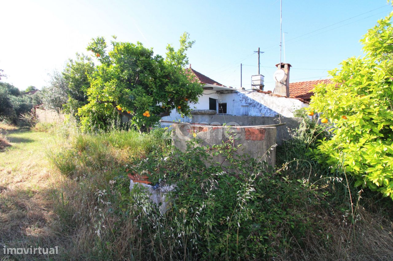 4 غرف نوم منزل في Ourem, Portugal رقم 93926