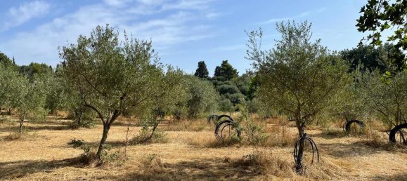 27750m² Hotel in Corfu, Greece No. 5415 8