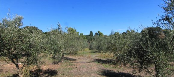 27750m² Hotel in Corfu, Greece No. 5415 29