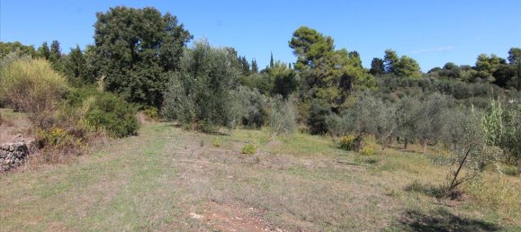 27750m² Hotel in Corfu, Greece No. 5415 14