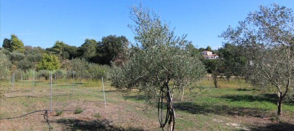 27750m² Hotel in Corfu, Greece No. 5415 17