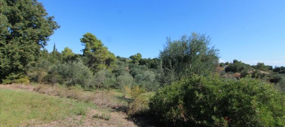 27750m² Hotel in Corfu, Greece No. 5415 23