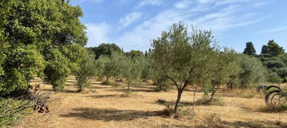 27750m² Hotel in Corfu, Greece No. 5415 3