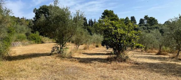 27750m² Hotel in Corfu, Greece No. 5415 7