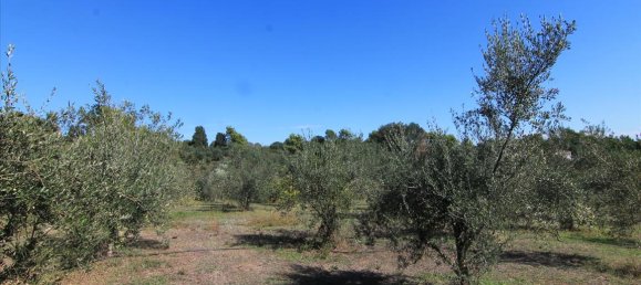 27750m² Hotel in Corfu, Greece No. 5415 28