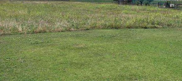 1390m² Land in Cittadella, Italy No. 131728 10