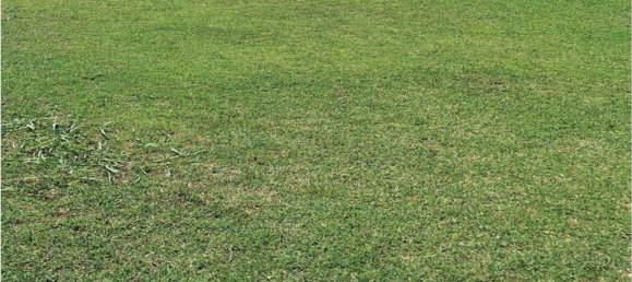 1390m² Land in Cittadella, Italy No. 131728 9