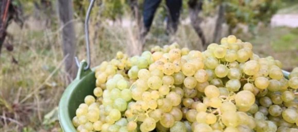 Земельный участок в Дюссельдорф, Германия № 229703 3