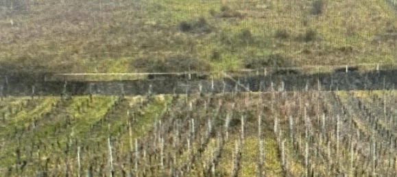 Земельный участок в Дюссельдорф, Германия № 229703 8