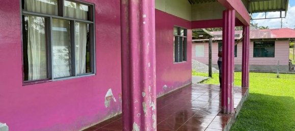 Дом с 2 спальнями в Упала, Коста-Рика № 1110 4