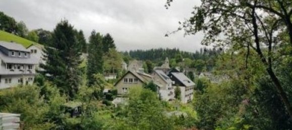 1 غرف نوم شقة في Hochsauerlandkreis, Germany رقم 72619 9