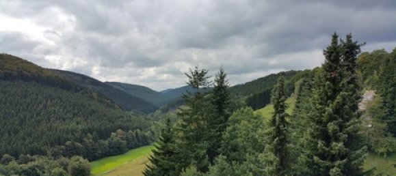 1 غرف نوم شقة في Hochsauerlandkreis, Germany رقم 72619 3