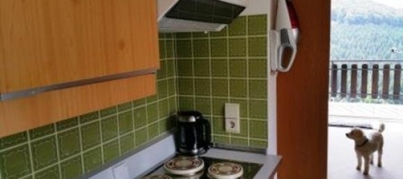 1 غرف نوم شقة في Hochsauerlandkreis, Germany رقم 72619 15