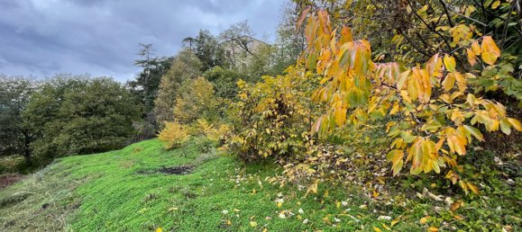 Земельный участок в Олетта, Франция № 93942 6