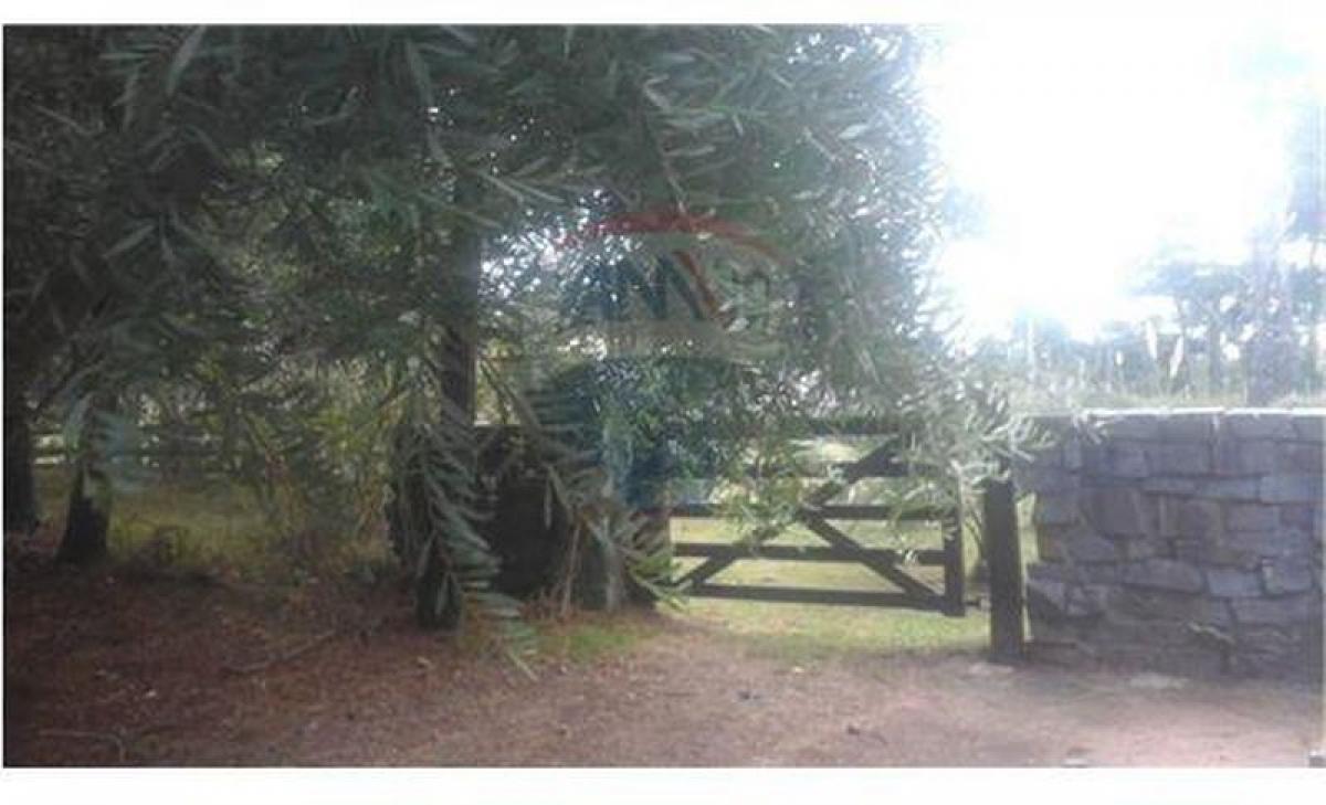  Land in Rocha, Uruguay No. 15680